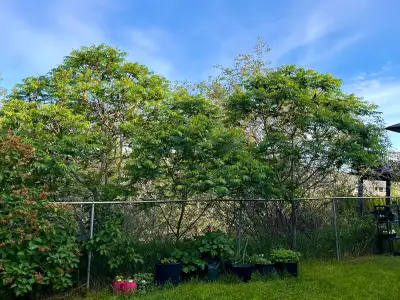 ISO Roommate Private Room Available March 1st, 2026 $950 utilities included 1 Bedroom ~12’x10’ Unfur...