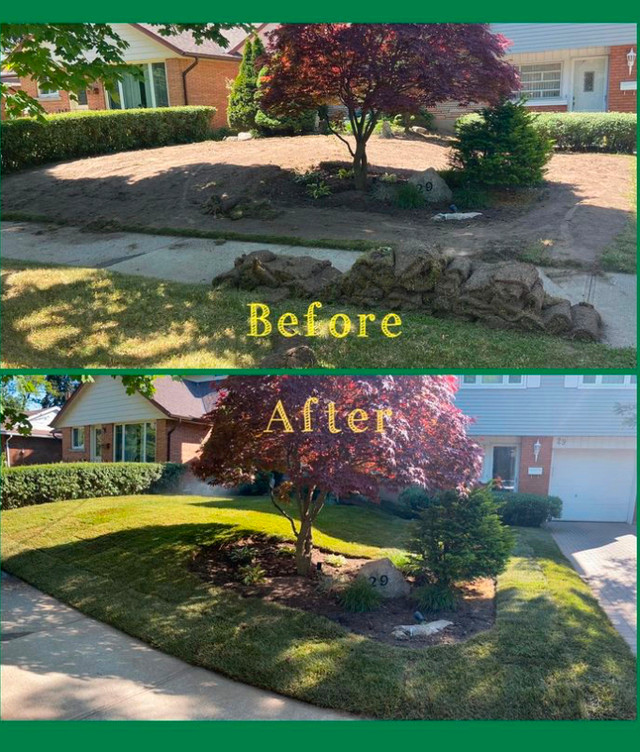 Reliable and Efficient Landscaping Services in Lawn, Tree Maintenance & Eavestrough in Kitchener / Waterloo - Image 2