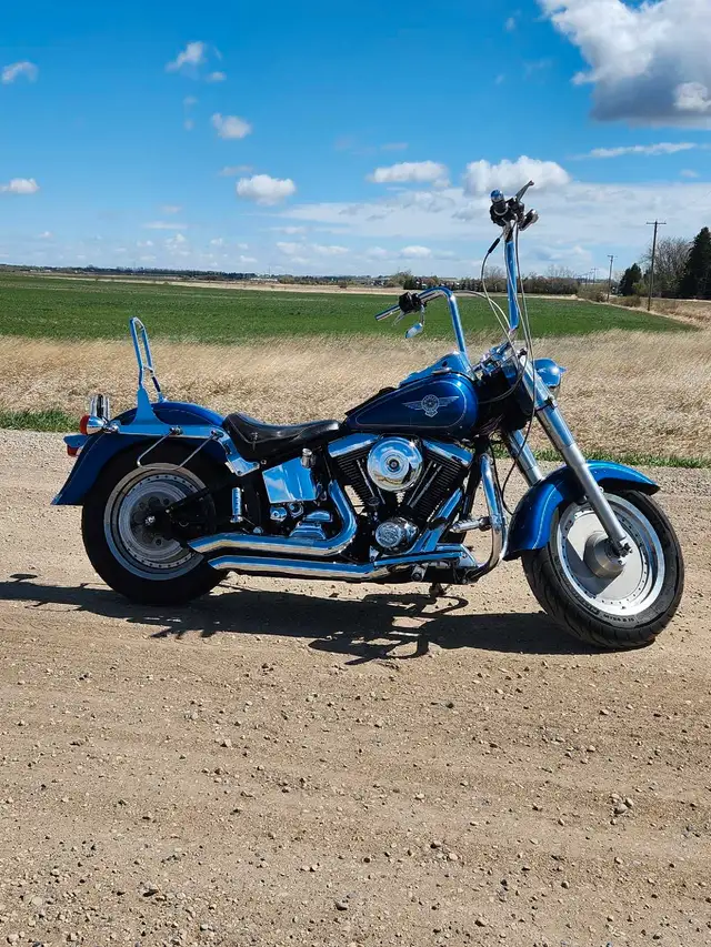 1993 Harley Davidson Fatboy in Street, Cruisers & Choppers in Red Deer - Image 3