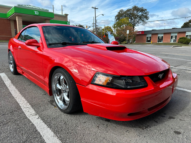 2000 FORD MUSTANG ALBERTA CAR in Cars & Trucks in City of Toronto - Image 2