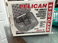 Pelican 1120 small case gun / camera