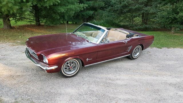 1966 MUSTANG CONVERTIBLE  in Classic Cars in Mississauga / Peel Region