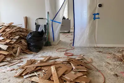 Job Site Cleanup - 20/HR, View more
