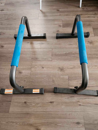 FITNESS EQUIPMENT: Pullup Bar, Pushup Bars, Rip Deck Chest Build