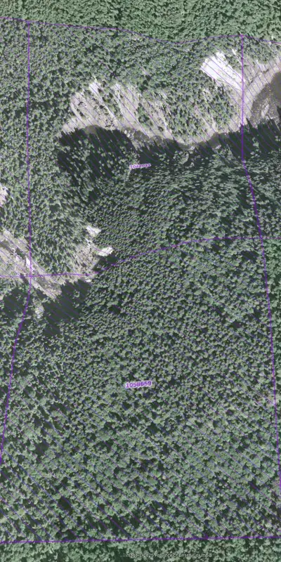 #1042031 Good until 2027/DEC/19 #1058659 Good until 2026/NOV/24 Placer Gold Claim on Cottonwood Rive...