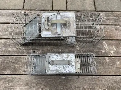 Squirrel and chipmunk/rat traps in good condition