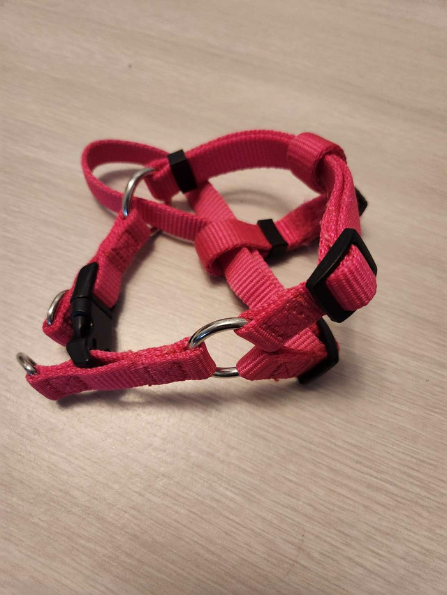 Dog Harnesses in Accessories in Leamington - Image 2