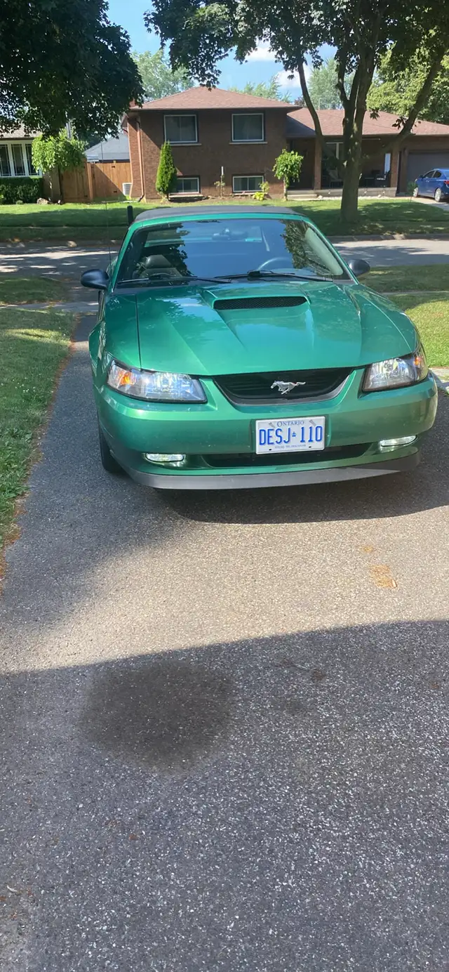 2001 Mustang GT Convertible in Cars & Trucks in St. Catharines - Image 6