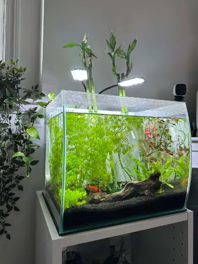 9 gallon fish tank , View more