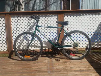 Men's/boys 18 speed mountain bike, like new condition, hardly used, $225