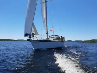 Osez la voile sur l' un des plus beau lac du Québec, à Piopolis. La saison 2025 sera du 7 juin au 21...