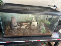 Terrarium 30 gallon tank 