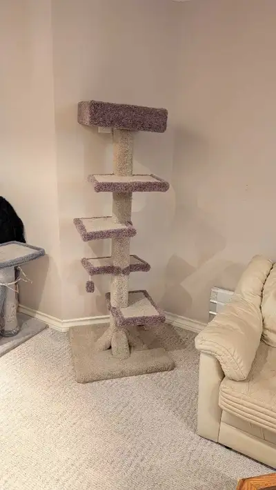 Cat scratching post and bed. Great shape rarely used