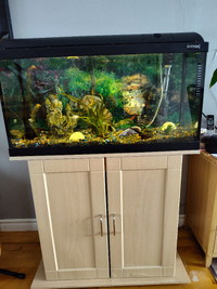 Aquarium 28 gallons tout équipé avec meuble
