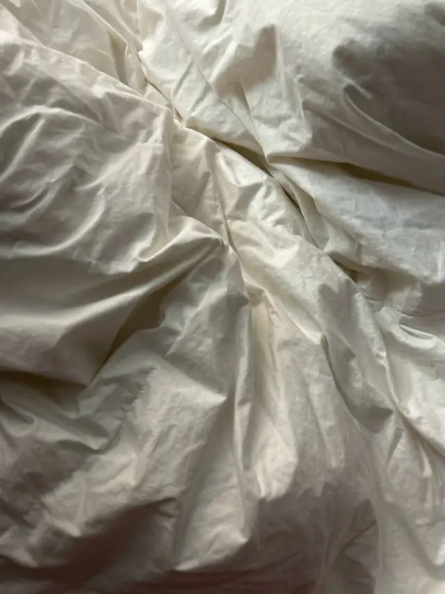 IKEA Duvet - 218x259 cm in Bedding in City of Toronto - Image 2