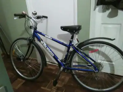 Raleigh Royal commuter bike 7 speed -good cond., View more