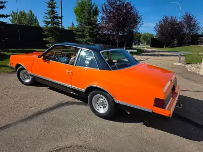 I have a Vehicle History Report and My Auto Report. 2 Door Notchback Coupe V8 4,9 Liters, 301 cu. in...