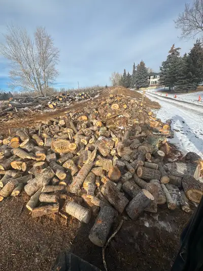 FREE FIREWOOD, View more