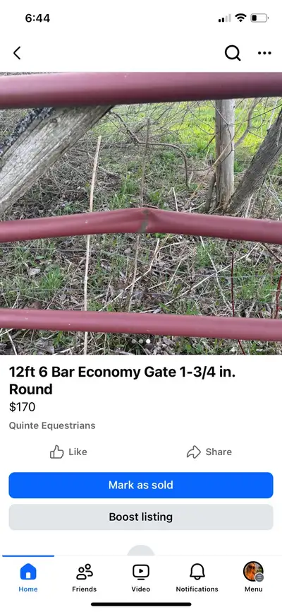 12ft gate, View more