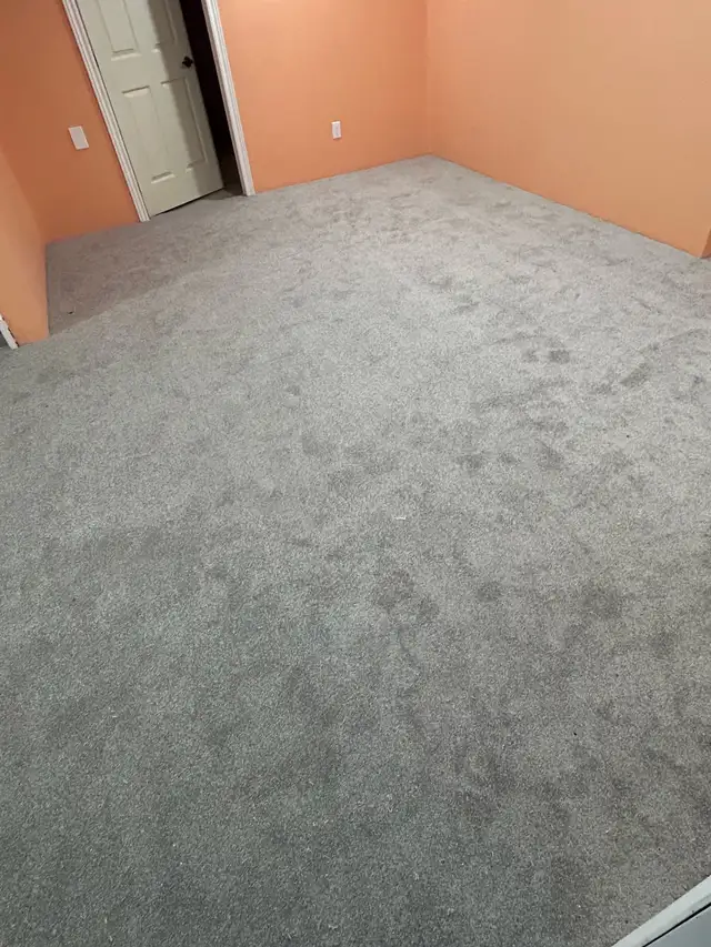 Expert Carpet Installation 64840206016001127
