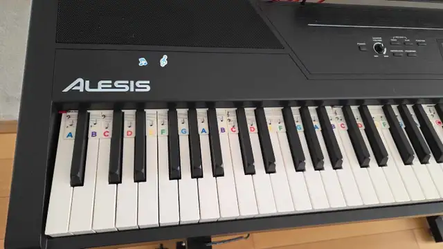 Alesis 88 Key with support, cover and earphone  in Pianos & Keyboards in City of Toronto - Image 2