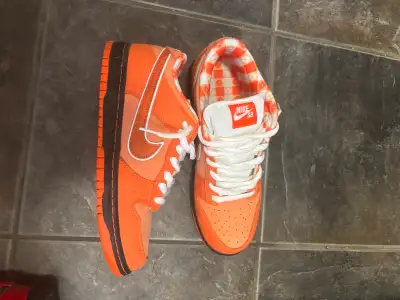 Nike SB Orange Lobster Men’s Sneakers Size 9, View more