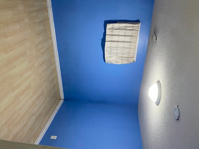 Basement for Rent (Islington & Finch W) [VEGETARIAN] Room Rentals