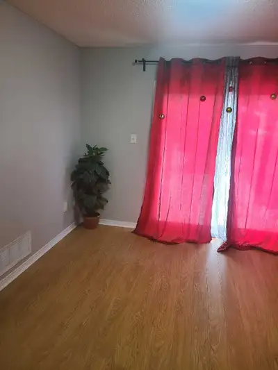 Main floor plus Basement level for rent. NO PARKING ! NO PARKING !! NO PARKING!!! Though, street par...