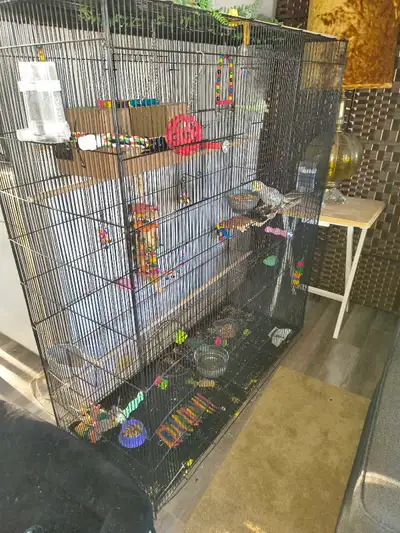 Aviary/ X-Large bird cage for sale 150$, View more