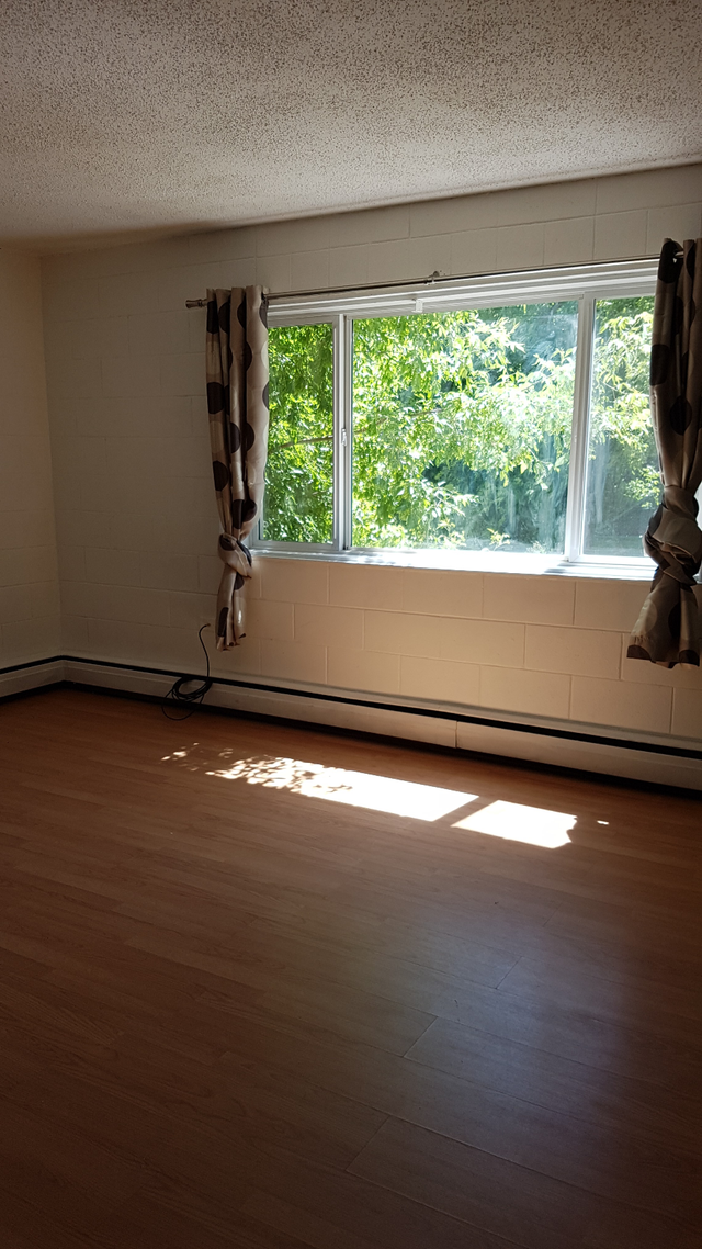 INNER CITY VERY LARGE STUDIO FREE INTERNET AND PARKING