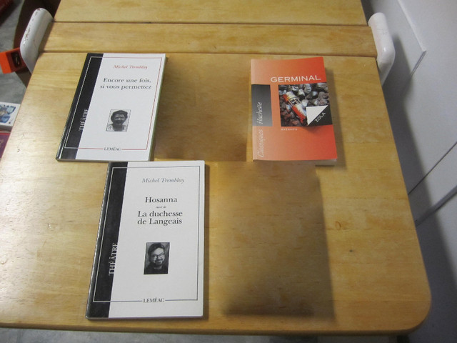 14 livres de littérature, 1 de peintre, prix variés Liste 2 de 4 dans Manuels  à Saguenay - Image 3