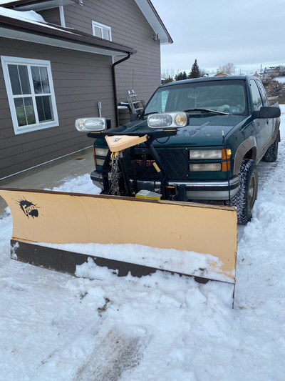 Truck and snow plow