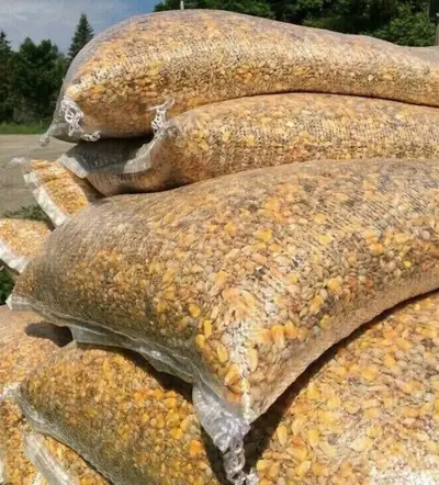 PIGEON FEED SEED FOR SALE $45 Pickering , View more
