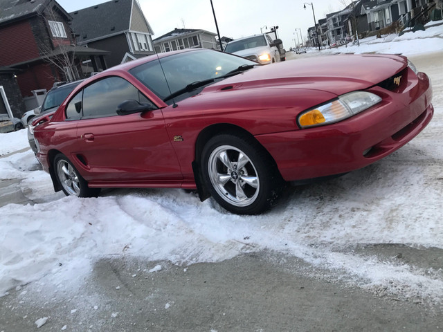1994 Ford Mustang GT - Manual 82km only in Cars & Trucks in Edmonton