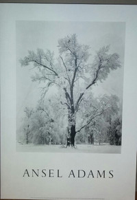 Ansel Adams -- Laminated Print / Impression Laminée