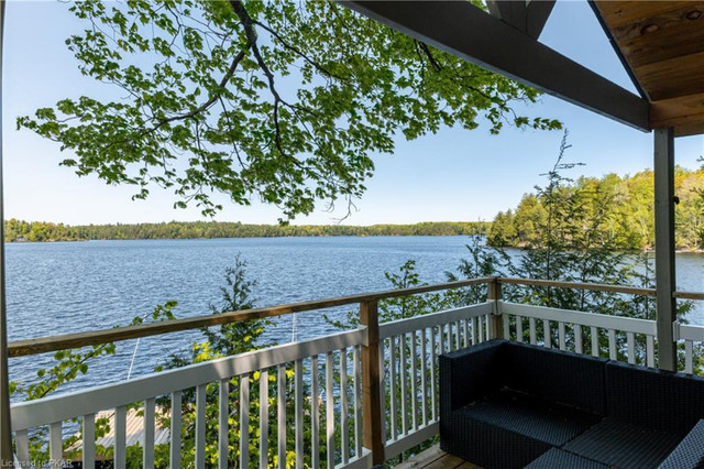 FOUR SEASON COTTAGE OR HOME ON A GREAT LAKE in Houses for Sale in Peterborough - Image 3