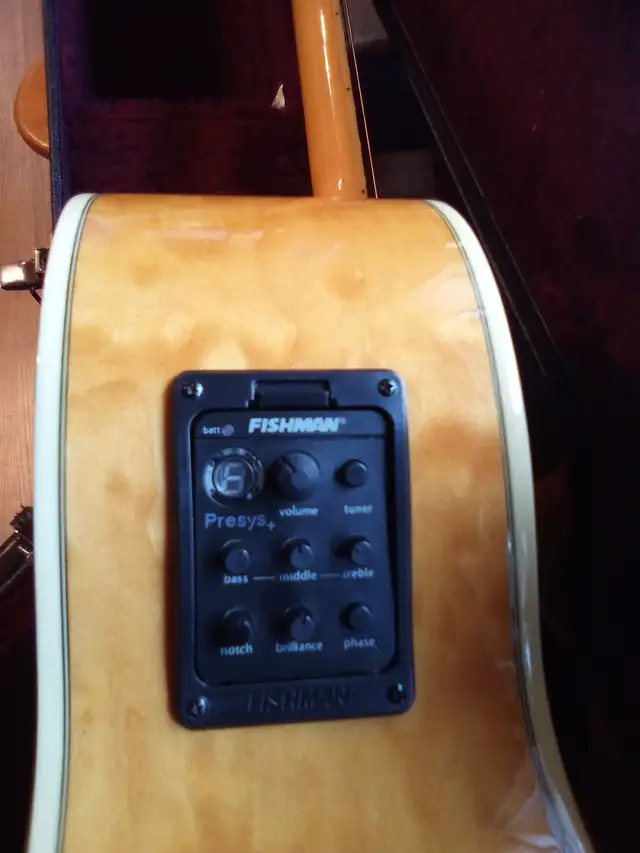 Washburn Acoustic Guitar in Guitars in London - Image 7