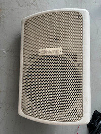 CRATE AUDIO PSM12i Speakers (Ceiling Mount Ready)