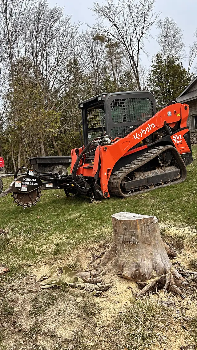excavation 556111380569794562