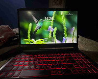  Acer Nitro 5-AN515-55 Gaming Laptop