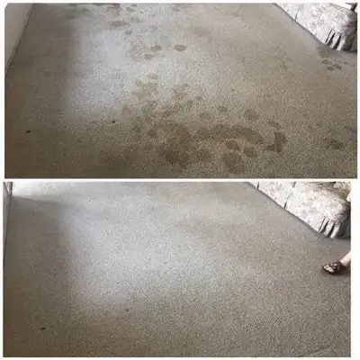Professional House Carpet And Rug Cleaning In Affordable Price, View more