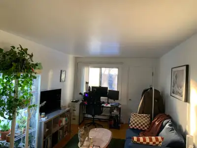 Appartement 3 1/2 Ste-Foy (1 mois gratuit)