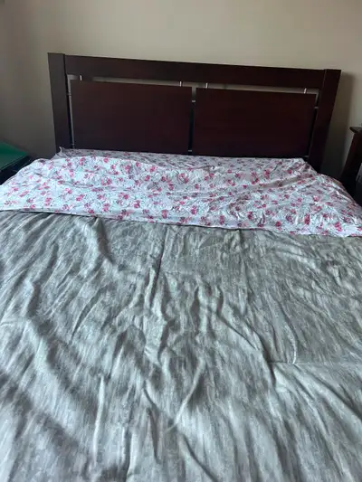 Structube solid bed frame, View more