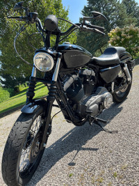 2009 Harley Davidson Nightster 1200