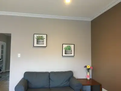 room from Aug in Barrie near Georgian College,RVH,downtown