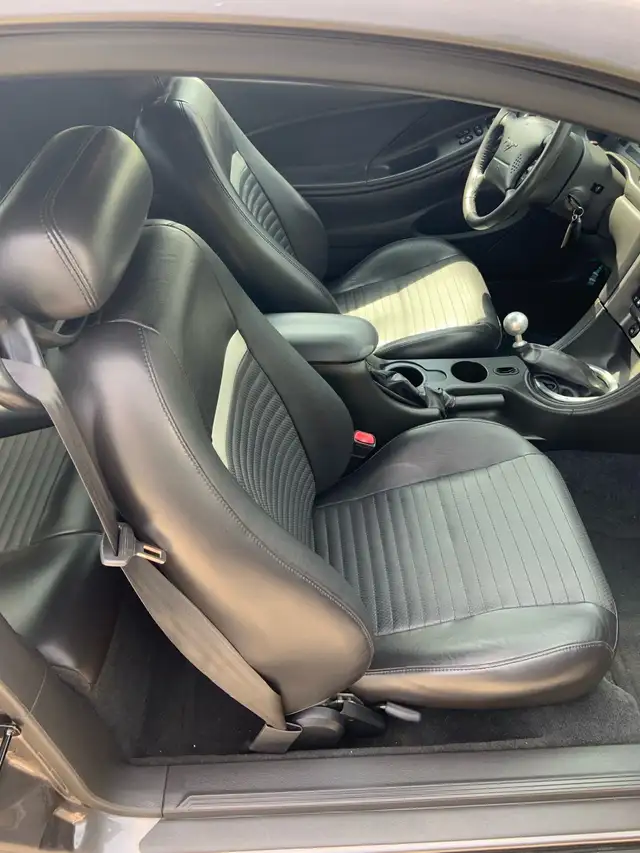 2003 Mustang Mach 1544786020042035207