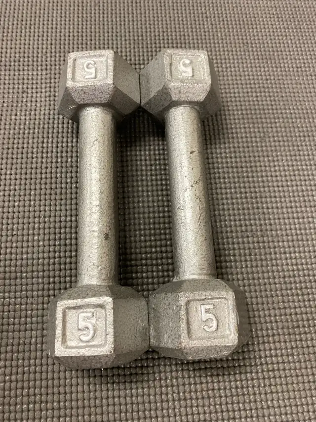 Dumbbell Weights ($1.50/lb) in Exercise Equipment in Ottawa - Image 4