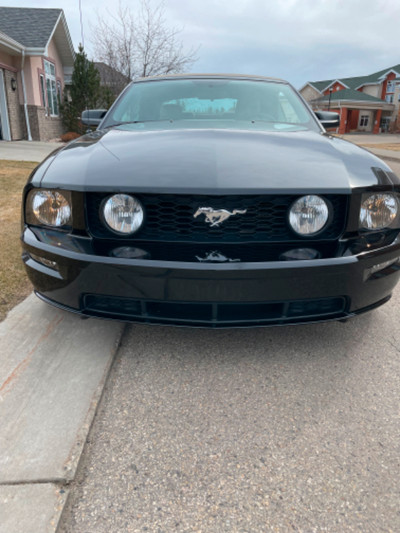 beautiful 2006 Mustang GT convertible