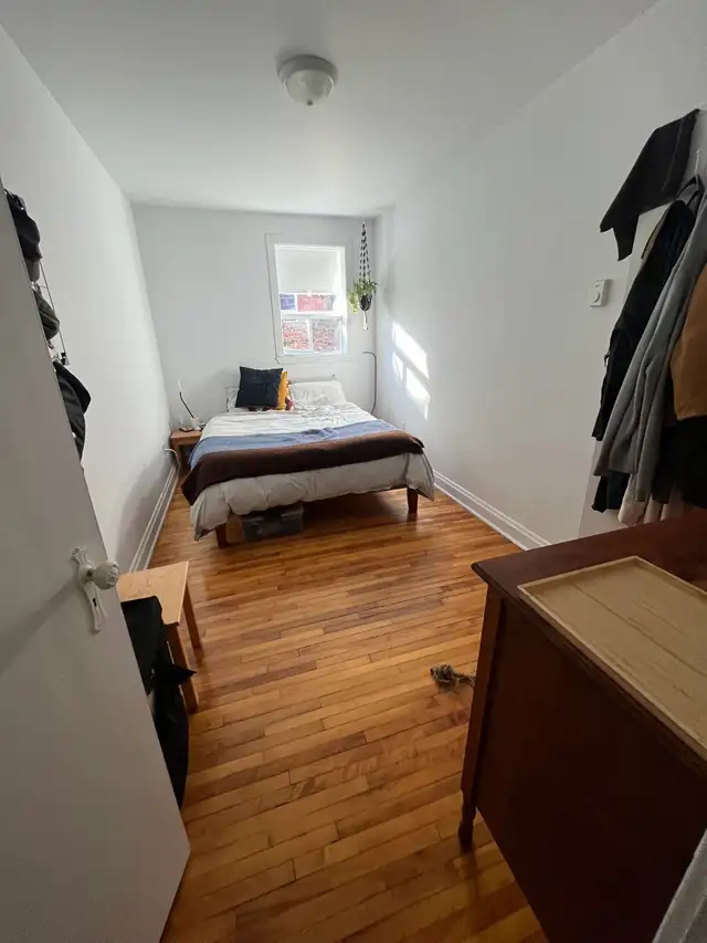 3 1/2 à louer libre immédiatement  in Long Term Rentals in Sherbrooke - Image 3