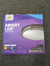 Dawnray 14" Smart Led Flush mount Ceiling Light RGB